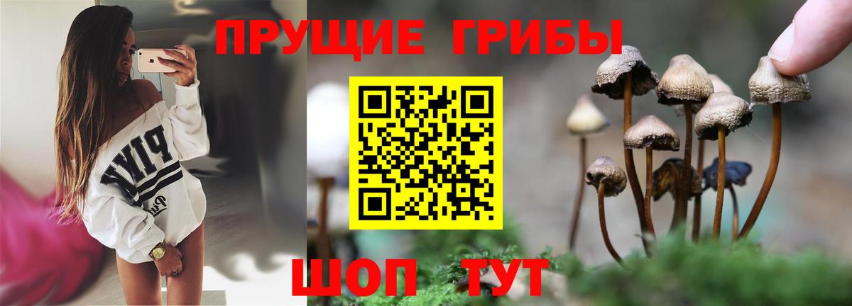 хочу   Вход с VPN  Соликамск  Галлюциногенные грибы MAGIC MUSHROOMS 